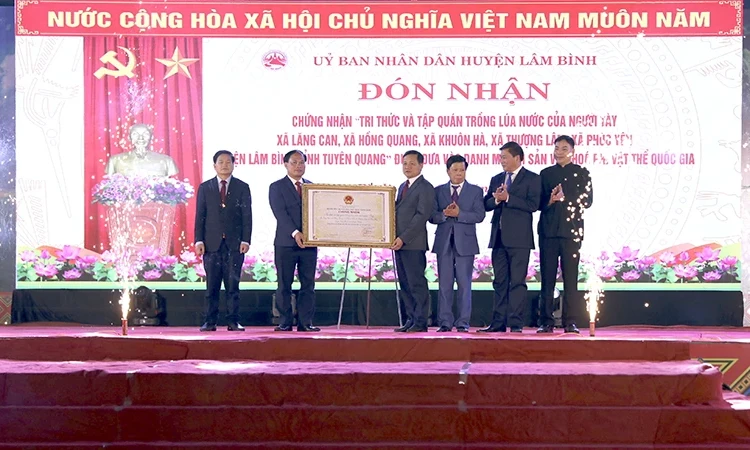 Tuyên Quang: Công nhận tập quán trồng lúa nước của người Tày ở huyện Lâm Bình là di sản văn hóa phi vật thể