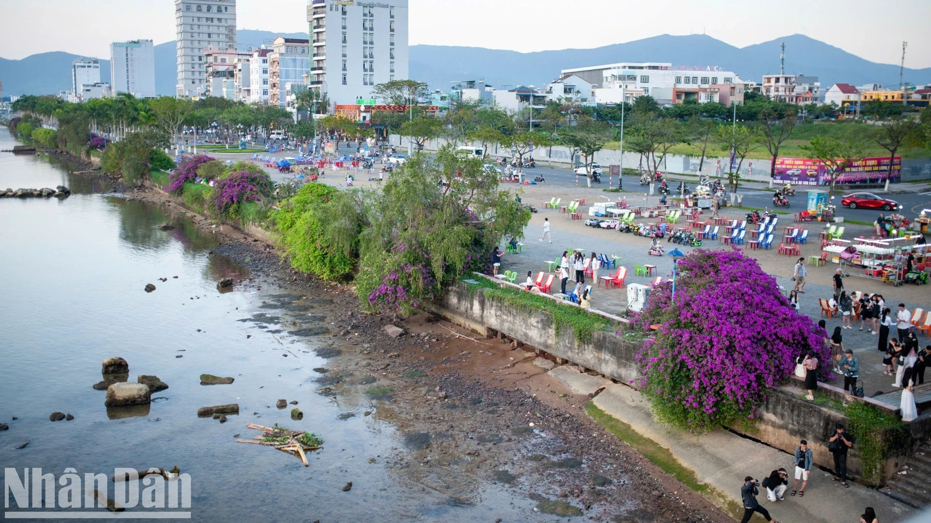 Cứ khoảng 17 giờ chiều, khi những ánh nắng cuối ngày bắt đầu chiếu xuống, giới trẻ Đà Nẵng lại nô nức đổ về phía bờ đông sông Hàn trải nghiệm không gian rực rỡ sắc màu của những cây hoa giấy.