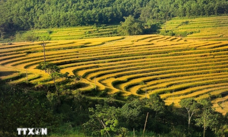 Lào Cai: Đưa du lịch xanh thành xu hướng chủ đạo, hút khách