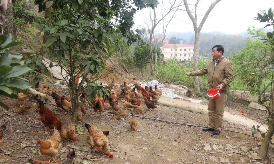 Đảm bảo an toàn phòng, chống dịch bệnh khi tái đàn vật nuôi