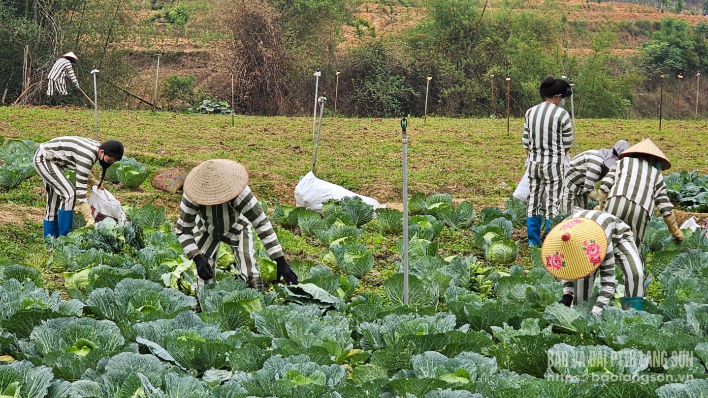 Phạm nhân tại Trại Tạm giam, Công an tỉnh trong giờ lao động