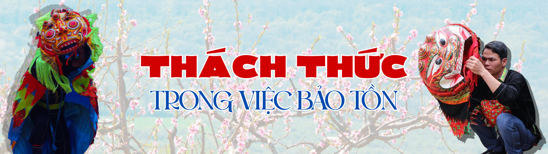 Ảnh co giãn vừa văn bản