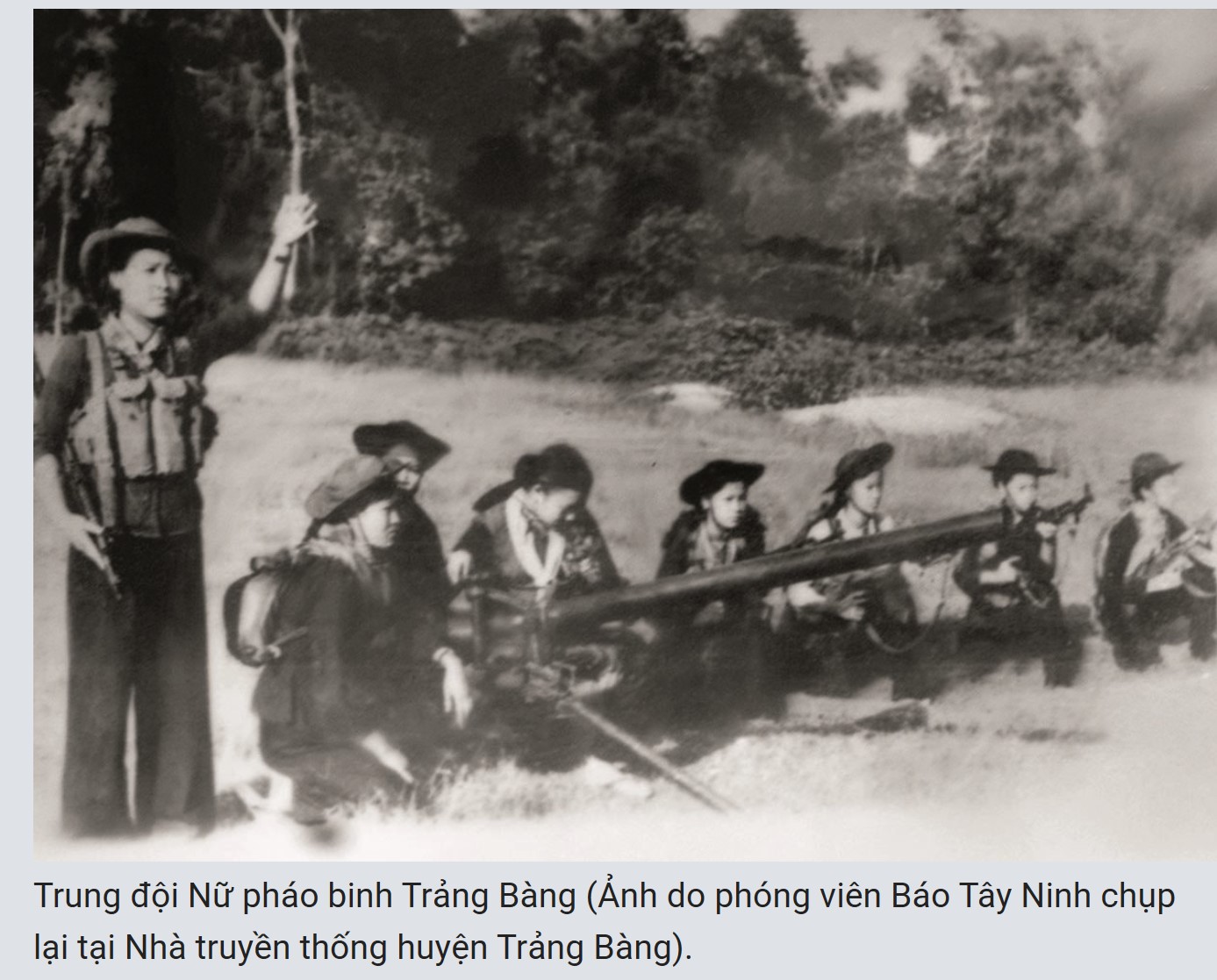 Ảnh căn trái