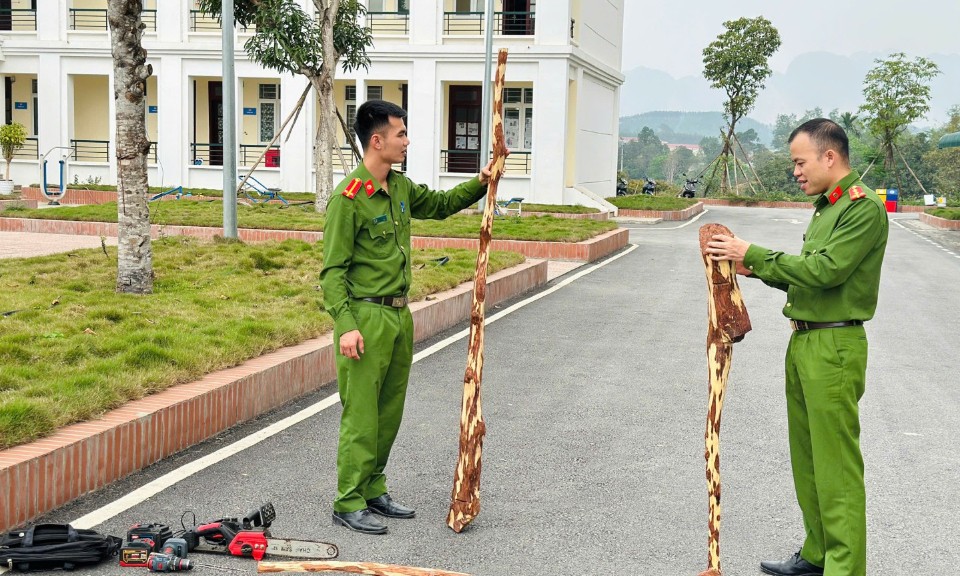 Lạng Sơn: Khởi tố hai đối tượng trộm cắp 6 cây gỗ sưa tại Hữu Lũng
