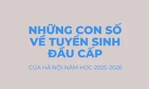 [Infographic] Những con số về tuyển sinh đầu cấp của Hà Nội năm 2025