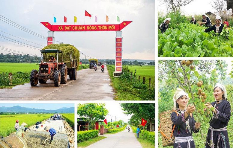 Điều chỉnh kế hoạch đầu tư công trung hạn vốn ngân sách trung ương thực hiện Chương trình mục tiêu quốc gia xây dựng nông thôn mới