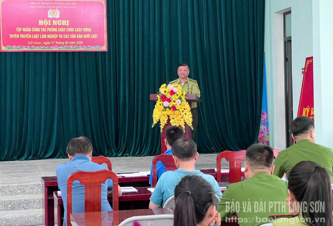 dsc,9d951,13540407.jpg