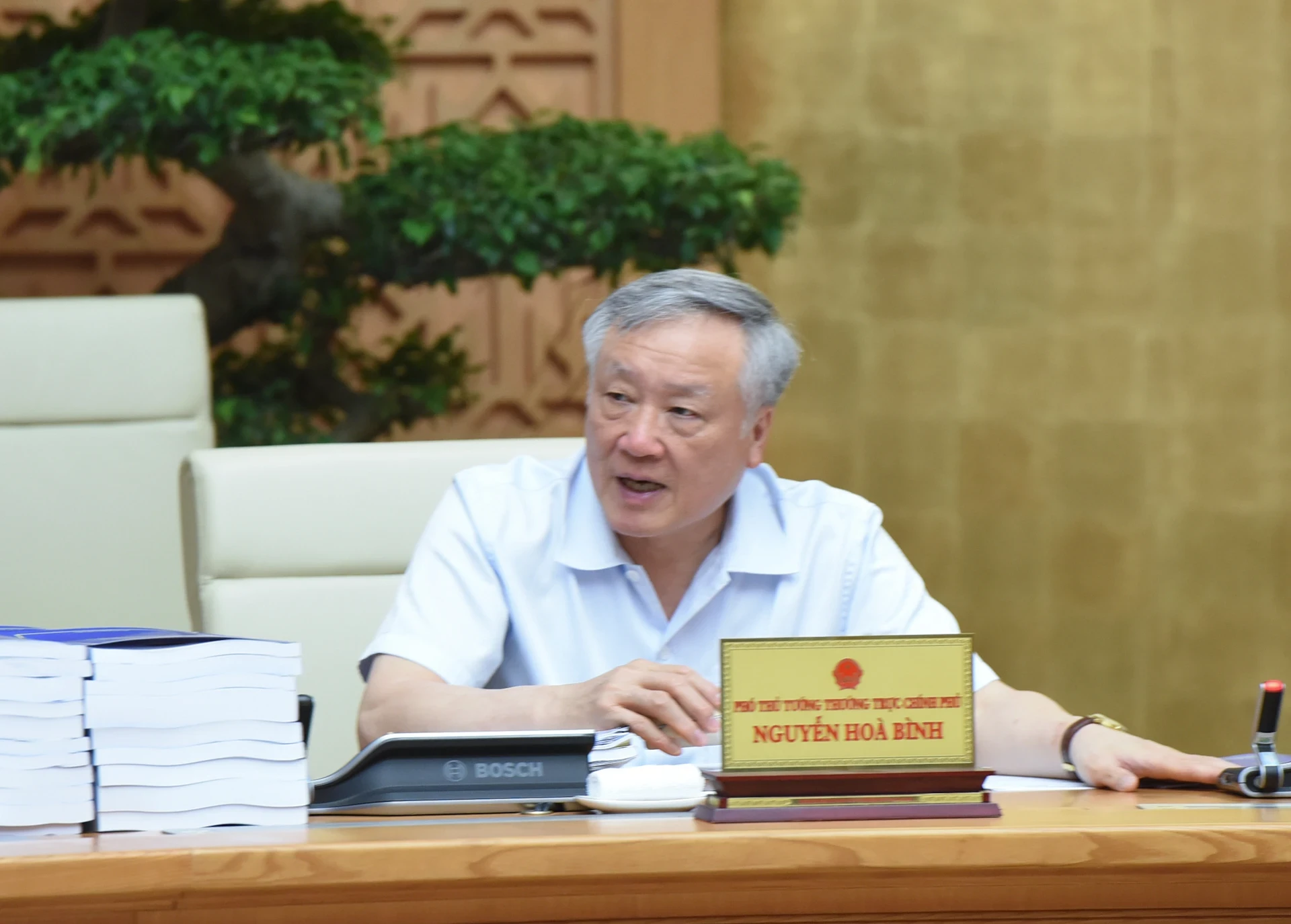 Phó Thủ tướng Thường trực Nguyễn Hòa Bình phát biểu.