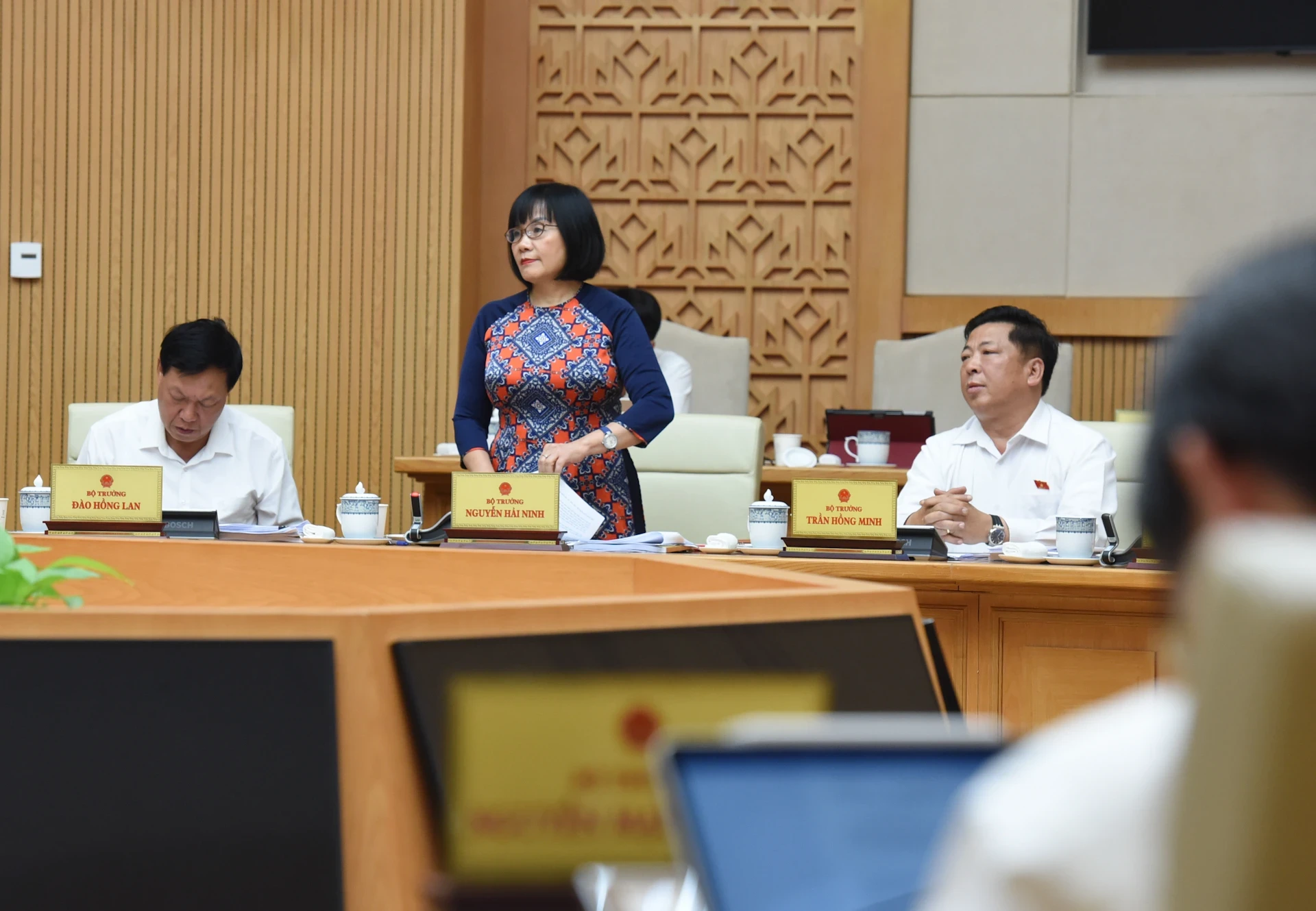Thứ trưởng Tư pháp Đặng Hoàng Oanh phát biểu.