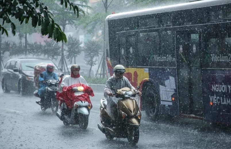 Thời tiết hôm nay (11-5): Miền Bắc có mưa to và dông. Ảnh minh họa: TTXVN