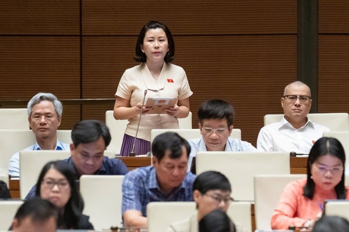 Đại biểu Lê Đào An Xuân (Đoàn Phú Yên) phát biểu chiều nay. (Ảnh: Quochoi.vn)