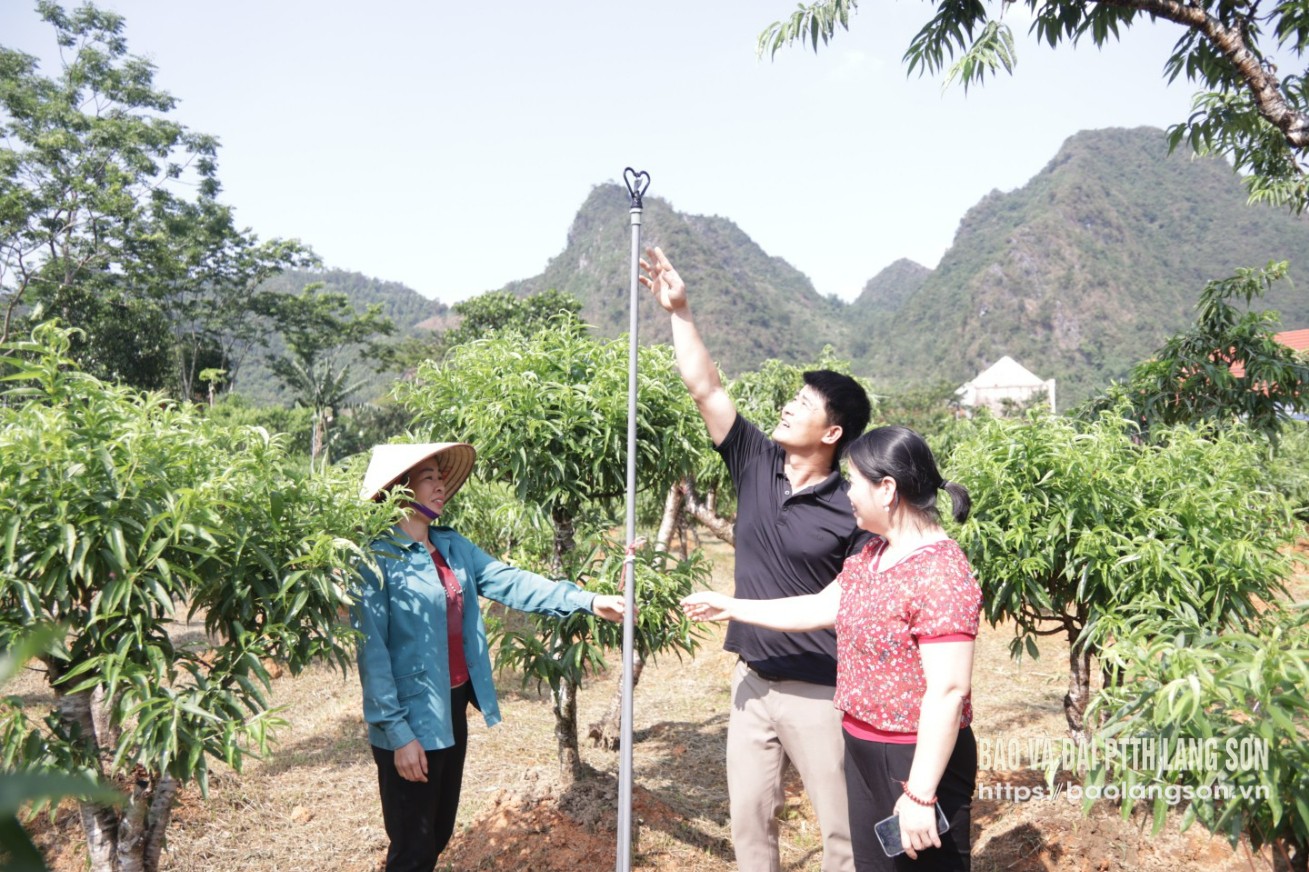 Cán bộ xã Vũ Sơn, huyện Bắc Sơn và người dân kiểm tra mô hình tưới tiết kiệm nước có sự hỗ trợ của Nhà nước