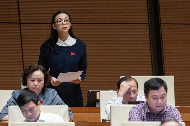 Đại biểu Trịnh Thị Tú Anh phát biểu tại hội trường sáng nay. (Ảnh: Quochoi.vn)