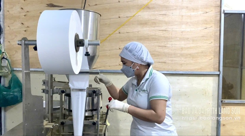 Hoạt động sản xuất tại Hợp tác xã Sản xuất dịch vụ nông lâm sản Bản Quyền, huyện Tràng Định