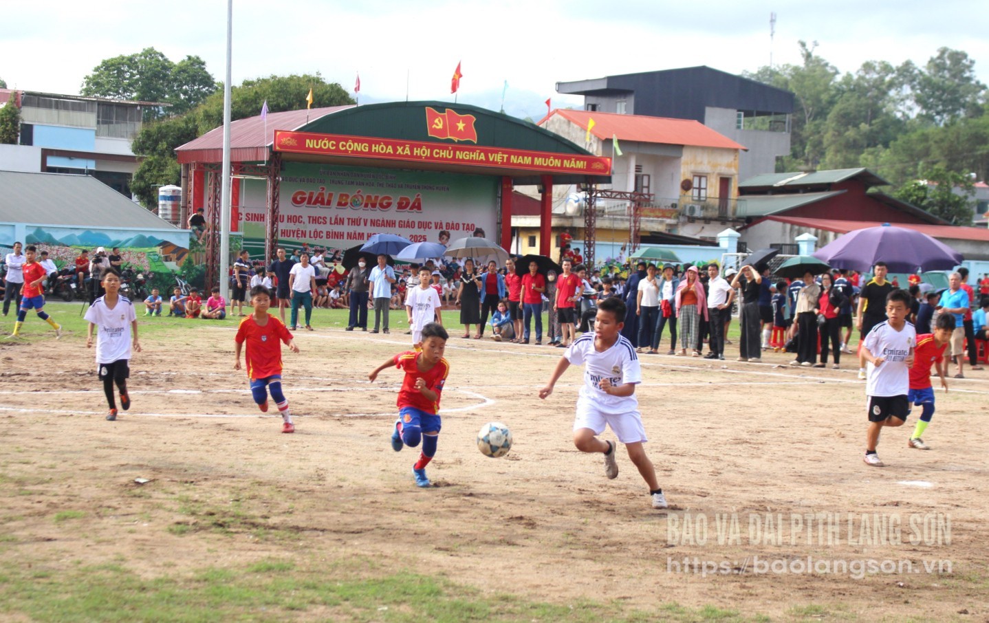 img,7100,18284719.jpg