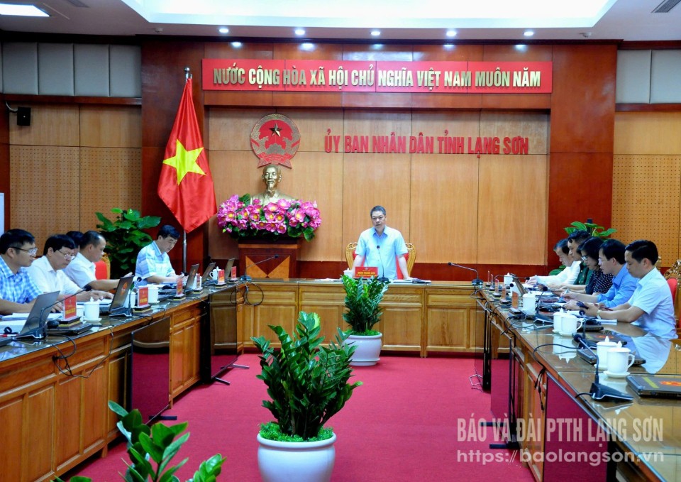 Đồng chí Đoàn Thanh Sơn, Phó Chủ tịch UBND tỉnh phát biểu kết luận cuộc họp