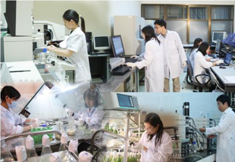 Bố trí tỷ lệ cán bộ có chuyên môn, kinh nghiệm về khoa học, kỹ thuật, chuyển đổi số trong đội ngũ lãnh đạo của từng cơ quan, tổ chức phù hợp với yêu cầu nhiệm vụ