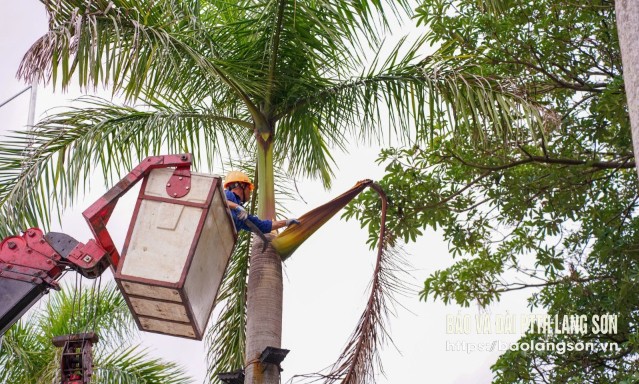 Công nhân Chi nhánh Cấp thoát nước đô thị cắt tỉa cây tại đường Hùng Vương, thành phố Lạng Sơn