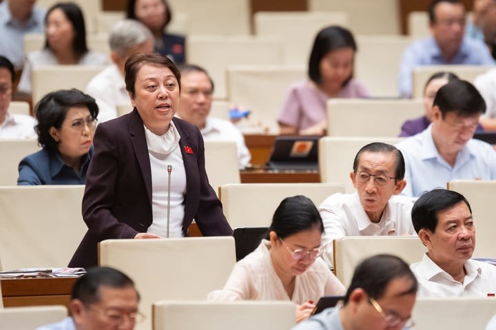 Đại biểu Phạm Khánh Phong Lan. (Ảnh: Quochoi.vn)