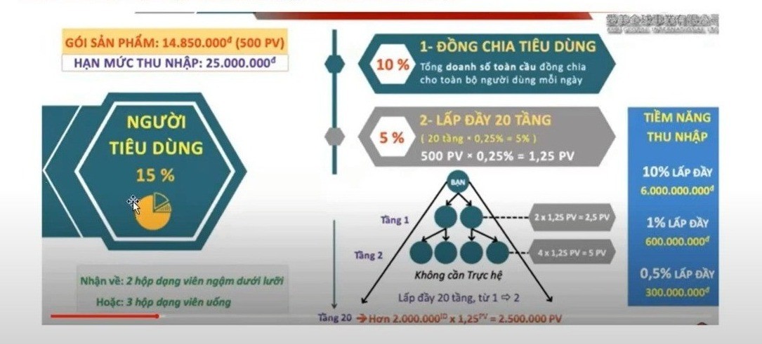 Chính sách tài chính của của tổ chức Ame Global