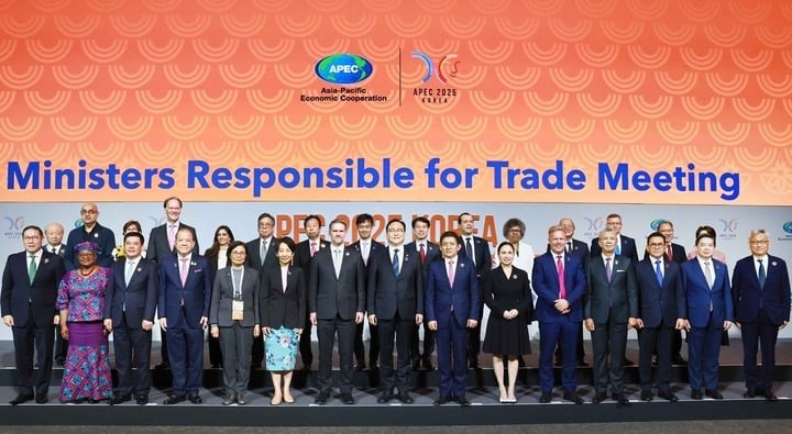 Các quan chức cấp bộ trưởng thương mại từ các thành viên APEC tham dự Hội nghị Bộ trưởng phụ trách thương mại tại Seogwipo, Đảo Jeju vào ngày 15/5. (Ảnh: Yonhap)