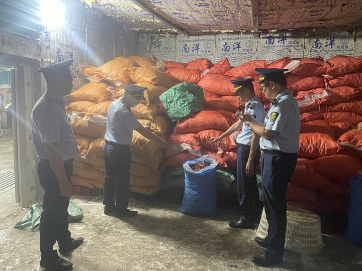 Hơn 6 tấn chân gà đã qua sơ chế được đóng trong các bao tải chờ đi tiêu thụ