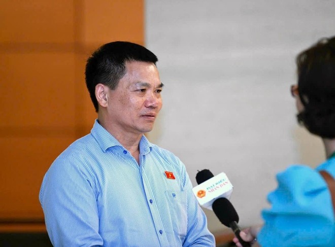 Đại biểu Dương Khắc Mai nhấn mạnh đây là kỳ họp có rất nhiều nội dung quan trọng được đưa ra để quyết định những vấn đề có ý nghĩa lịch sử, đó là việc thực hiện các nghị quyết của Ban Chấp hành Trung ương. (Ảnh: PV/Vietnam+)