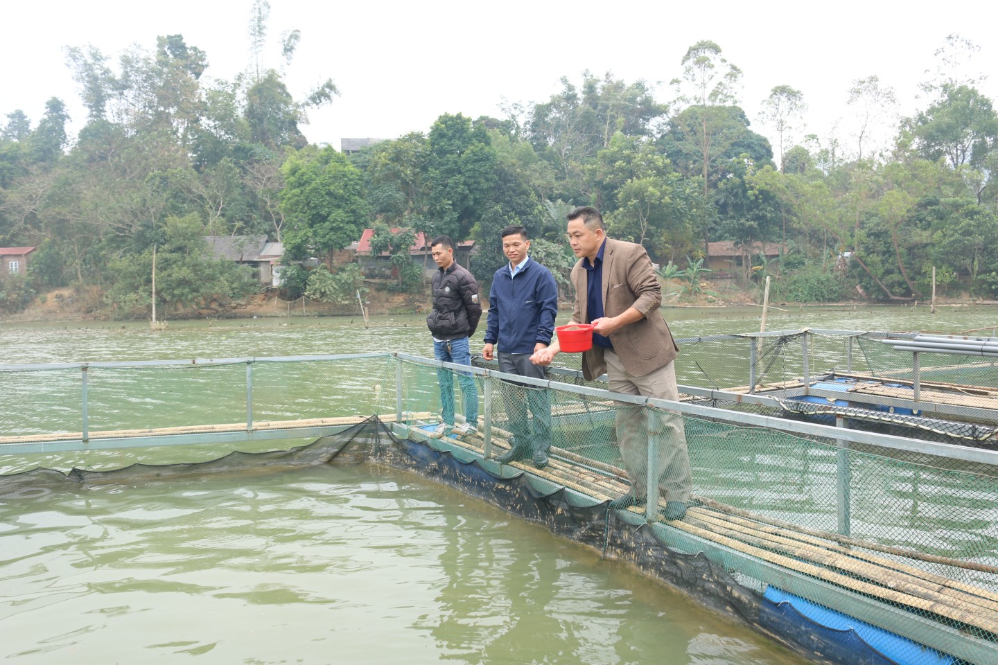 Người dân thị trấn Văn Quan, huyện Văn Quan chăm sóc cá lồng
