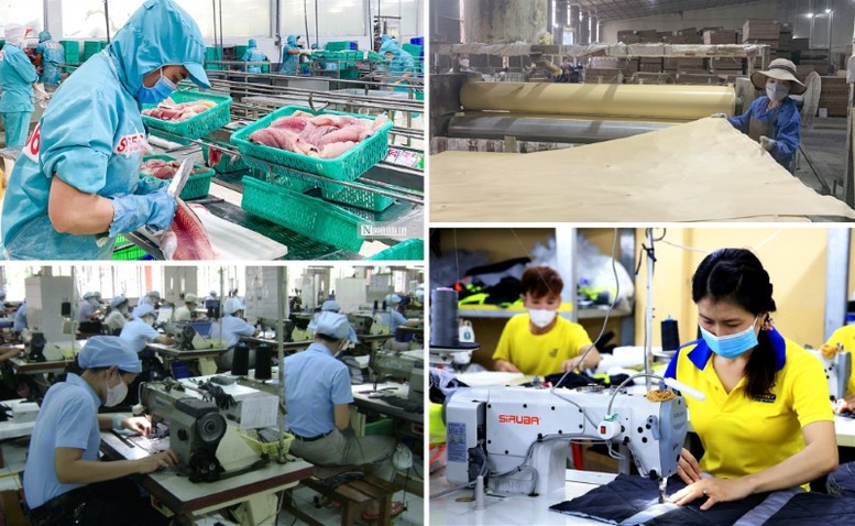 Thành lập Ban Chỉ đạo quốc gia triển khai Nghị quyết số 68-NQ/TW ngày 04/5/2025 của Bộ Chính trị về phát triển kinh tế tư nhân