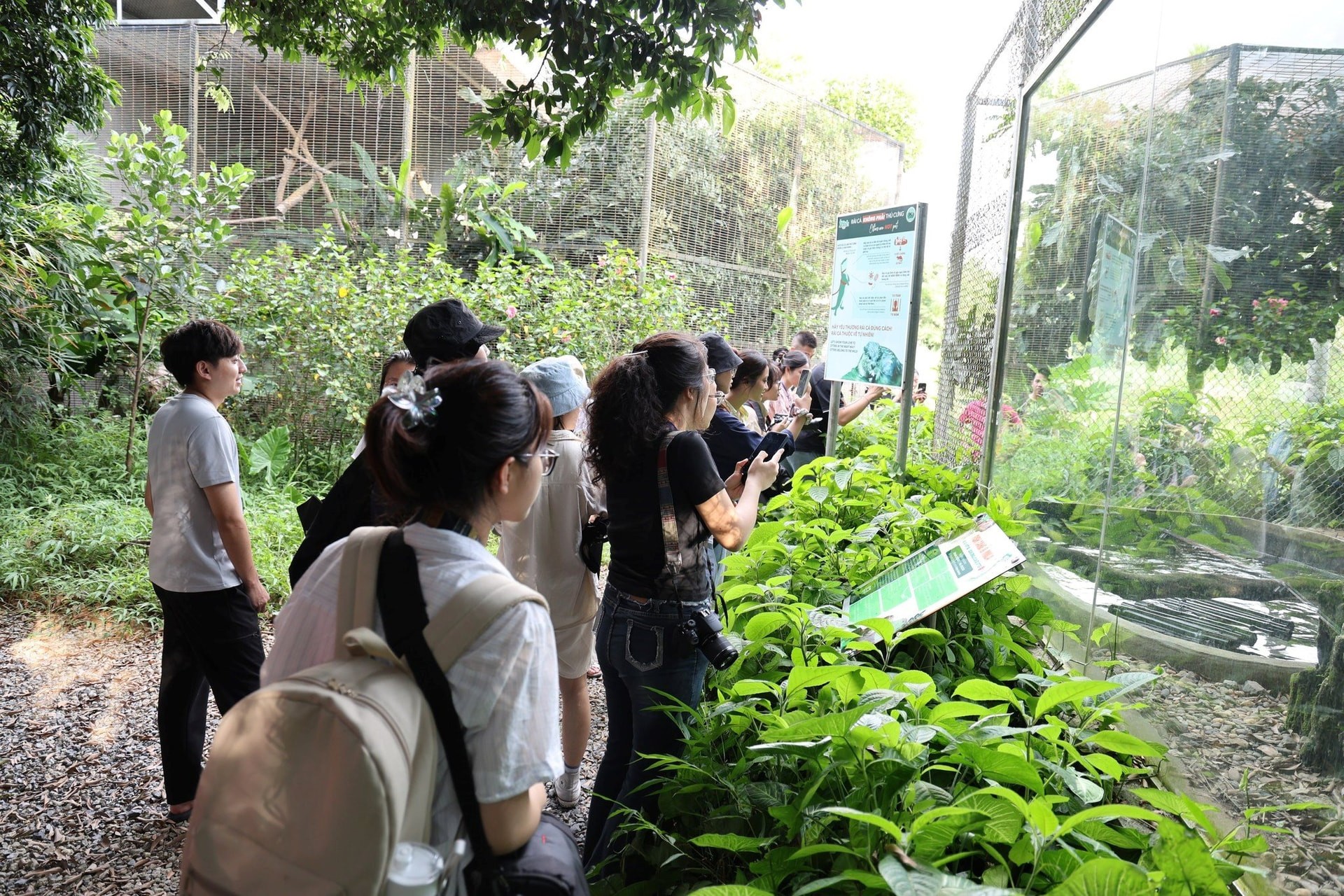 Ảnh tràn viền
