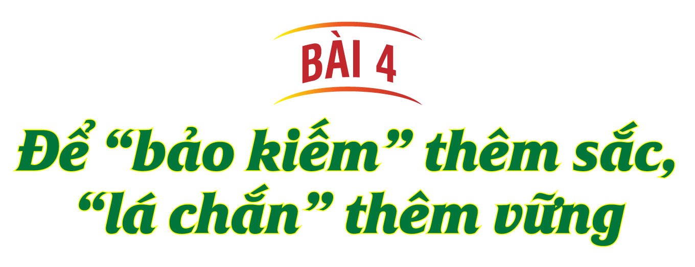Ảnh co giãn vừa văn bản