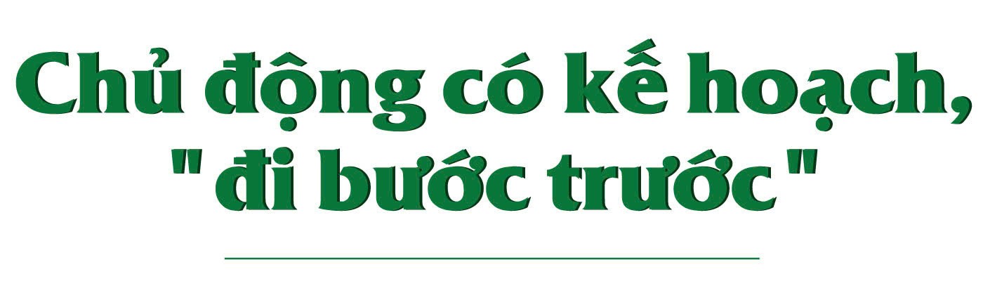 Ảnh co giãn vừa văn bản