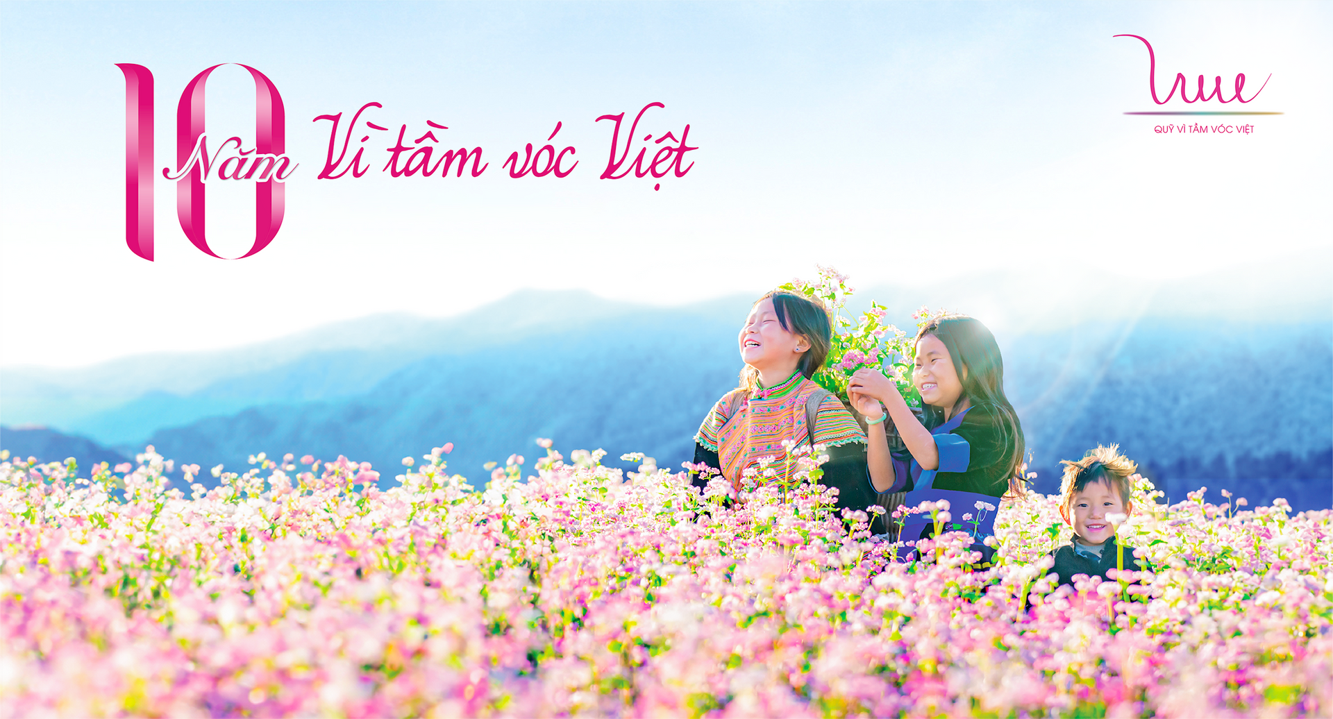 Ảnh co giãn vừa văn bản