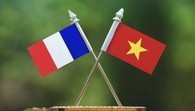 Ảnh co giãn vừa văn bản