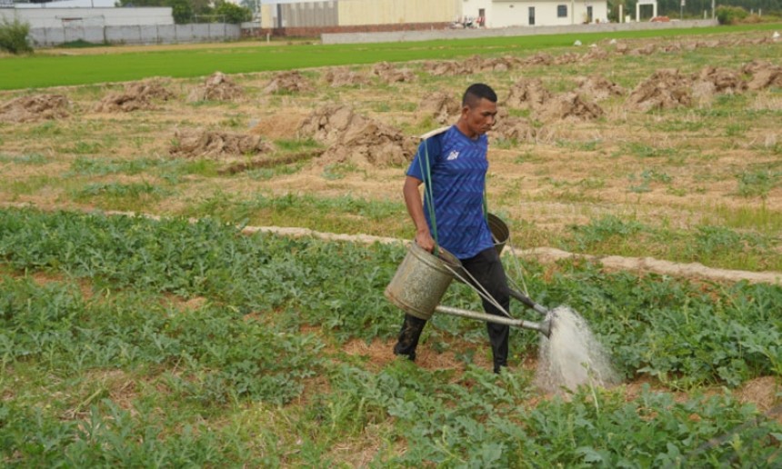 Đồng bằng sông Cửu Long: Hành trình thích nghi với tự nhiên