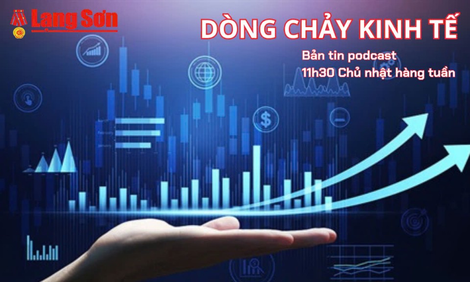 Podcast: Bản tin Dòng chảy kinh tế số 44