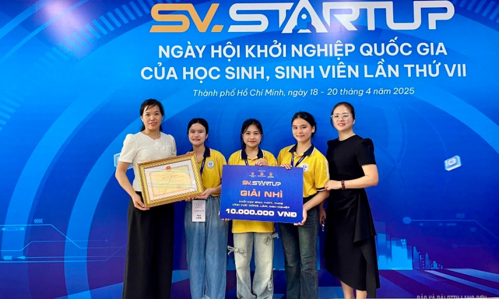 Khởi nghiệp từ cây đu đủ đực: Dự án sản xuất, kinh doanh sản phẩm thiết thực
