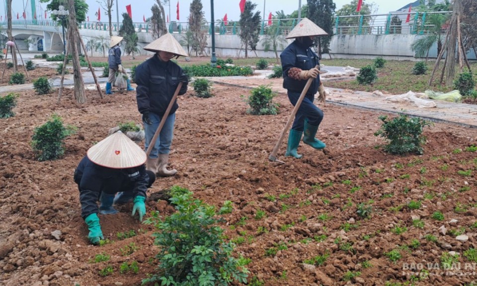 Phấn đấu đưa công trình khuôn viên cây xanh vào khai thác trước ngày sinh nhật Bác