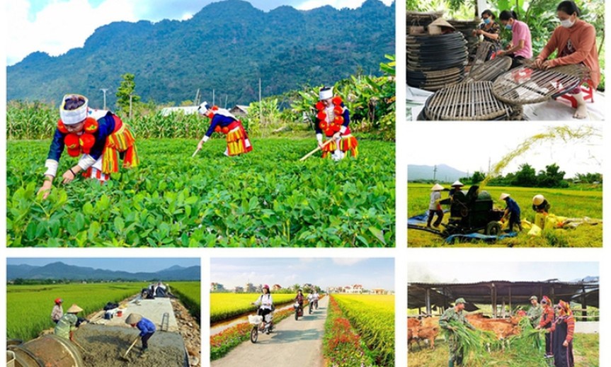 Chỉ đạo, điều hành của Chính phủ, Thủ tướng Chính phủ ngày 6/5/2025 (1)