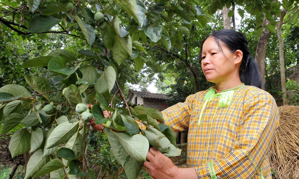 Cao Lộc giảm nghèo bền vững