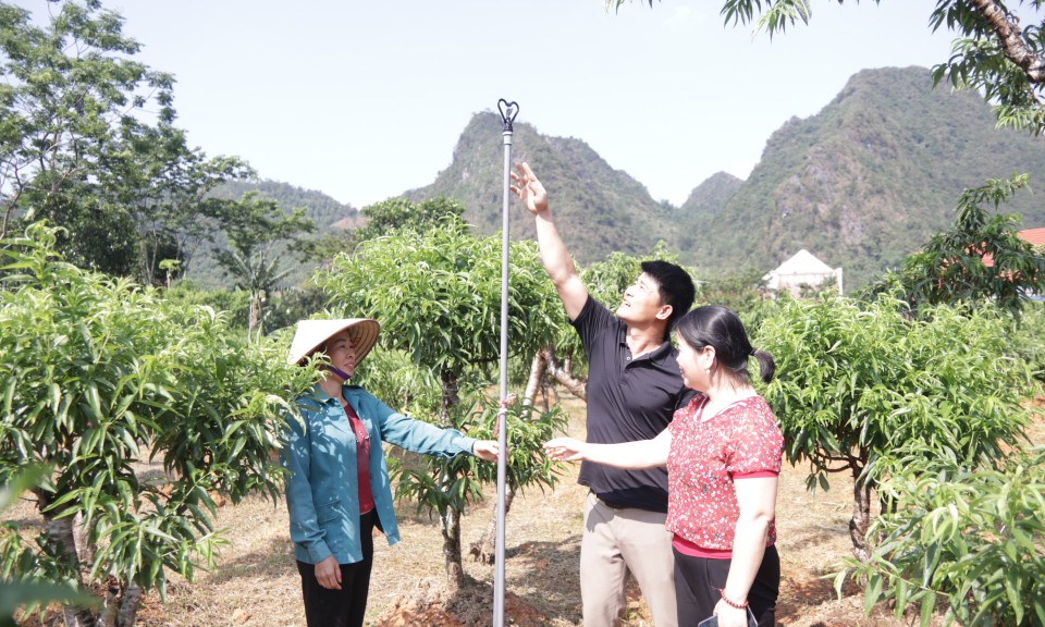 Tưới tiết kiệm: Bớt sức, tốt cây