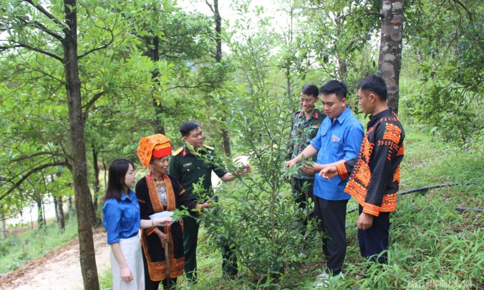 Sức trẻ ở vùng biên