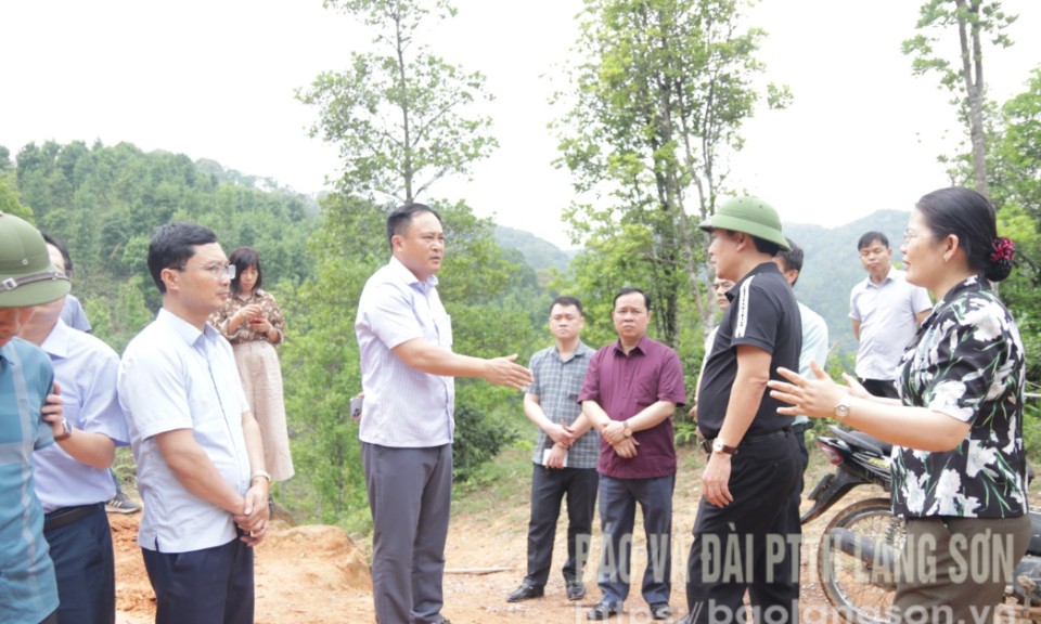 Lãnh đạo UBND tỉnh kiểm tra dự án hợp phần 3