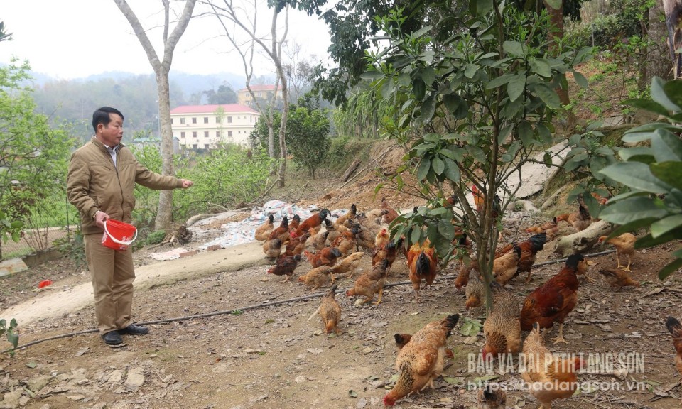 Cựu chiến binh vươn lên từ kinh tế tổng hợp