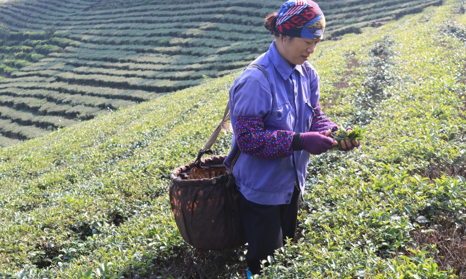 Đình Lập: Điểm sáng giảm nghèo