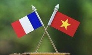 Ảnh co giãn vừa văn bản