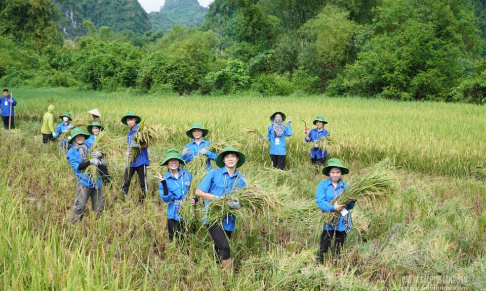 Đồng hương sinh viên thắm tình với quê hương