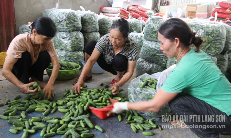 Hợp tác xã Bản San: “Thương gia” đến với nhà nông