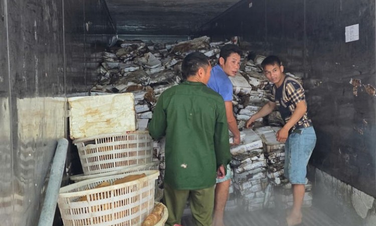 Phát hiện 25 tấn mực bốc mùi tại một kho hàng ở Quảng Ninh