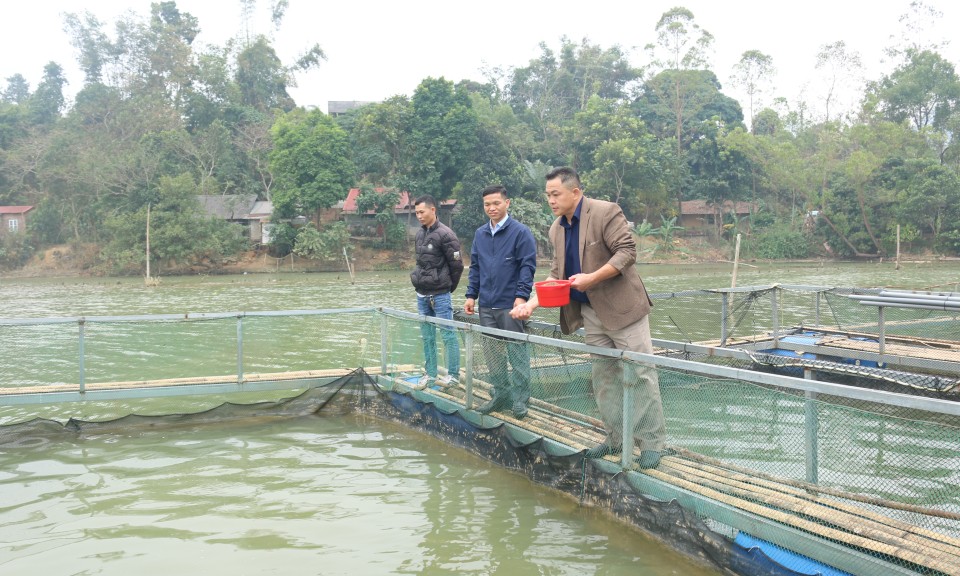 Để cá không chết chìm theo lũ